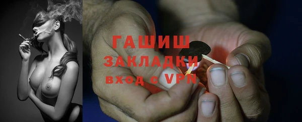 крисы Ростов