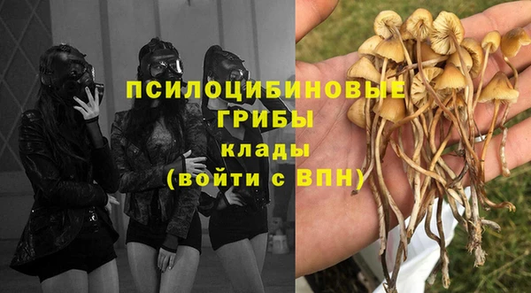 MESCALINE Абаза
