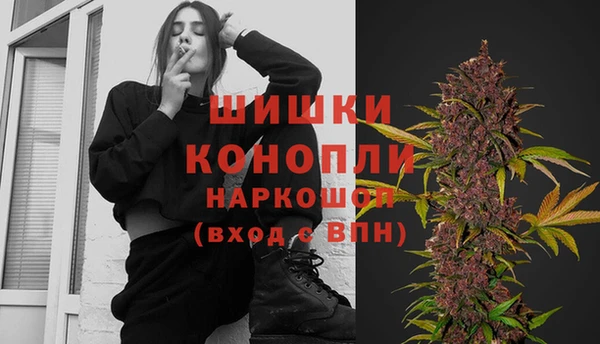 дмт Рославль